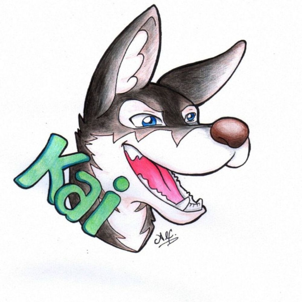Kyle Loborro 