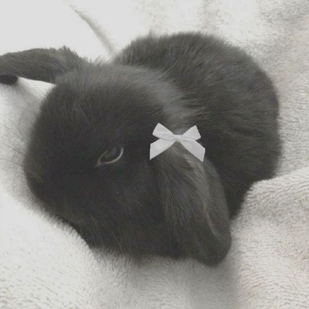 Nini 🎀