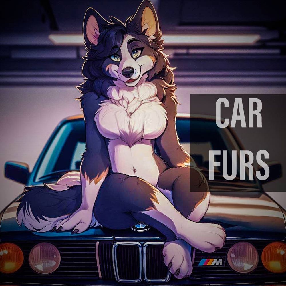 CarFurs