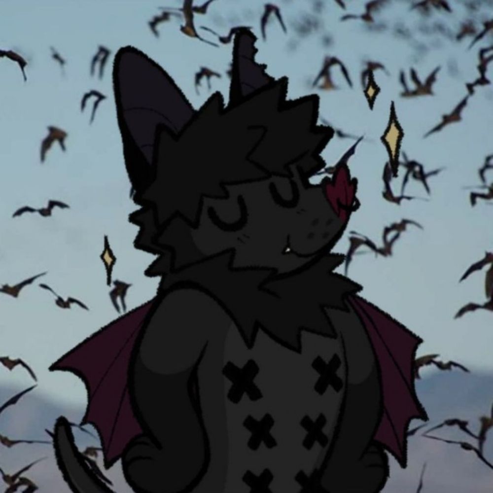 quinn 🦇