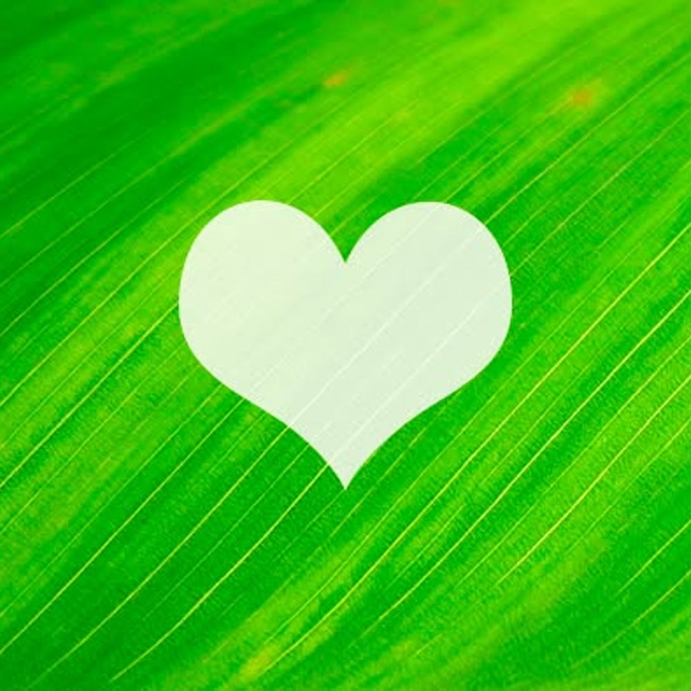 Yo Amo Verde