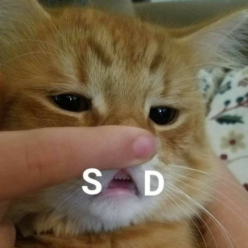 🫠