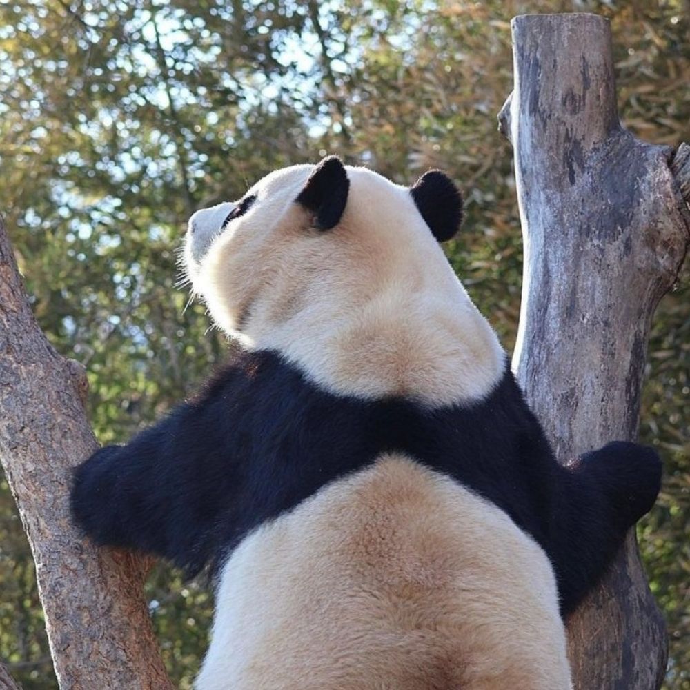 두두두