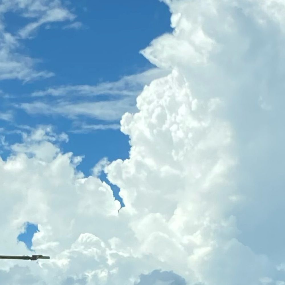 みず