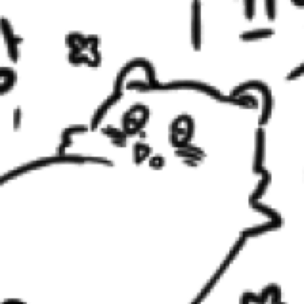 록뉴