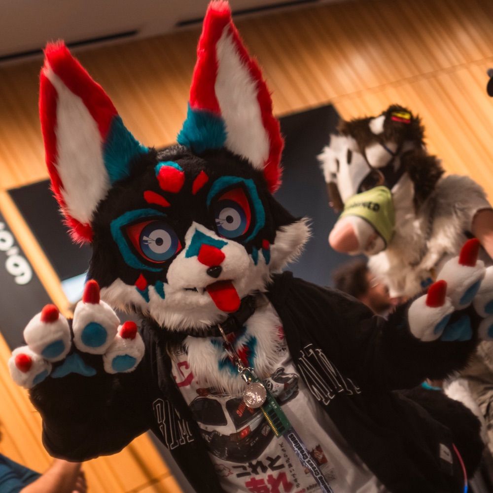 ✨Tarō 🔜 FURLANDIA 2025 ✨