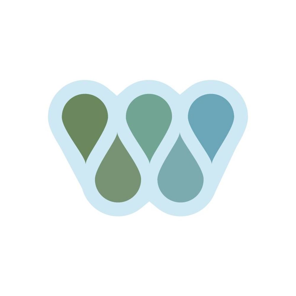 The Water Institute