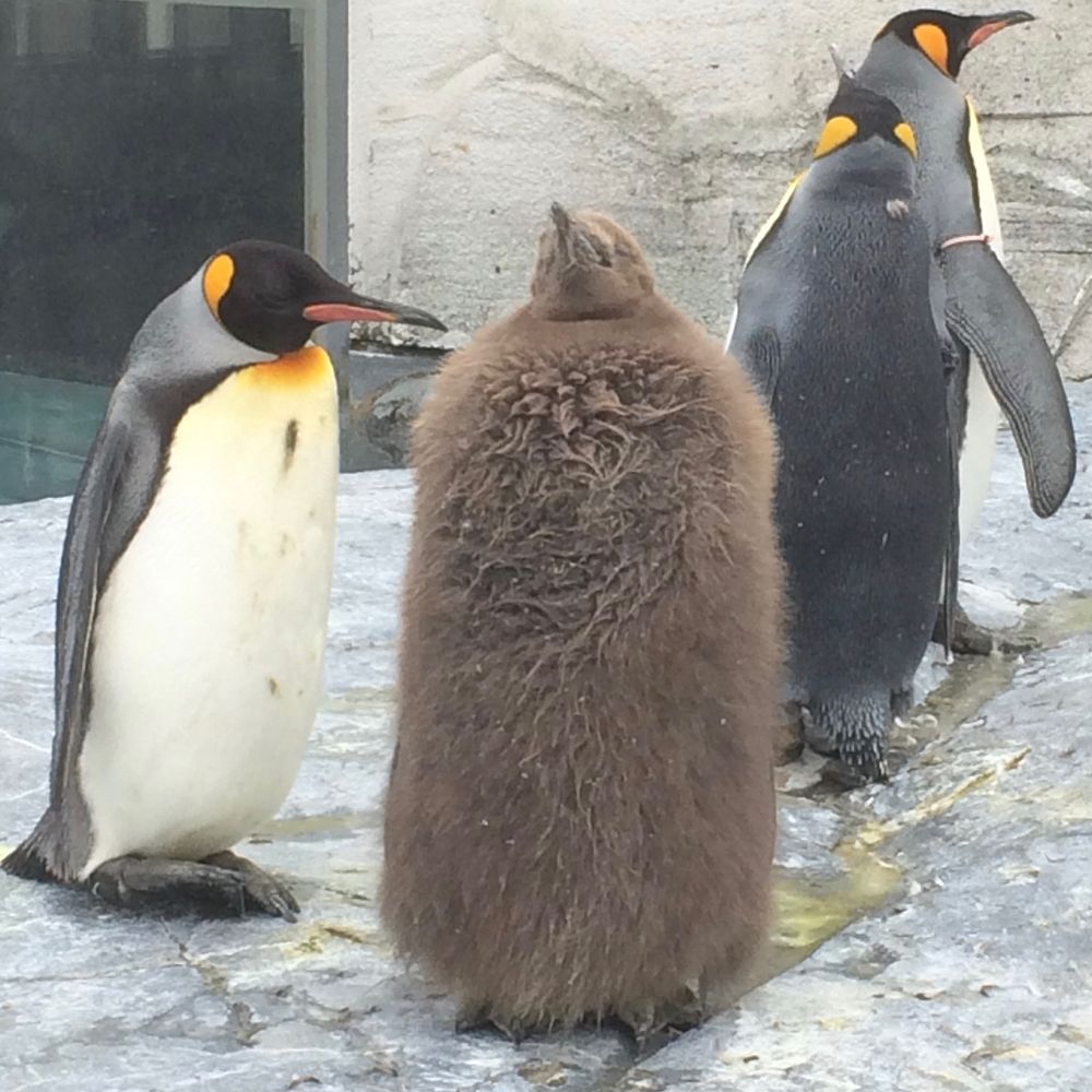 あぐいゆう