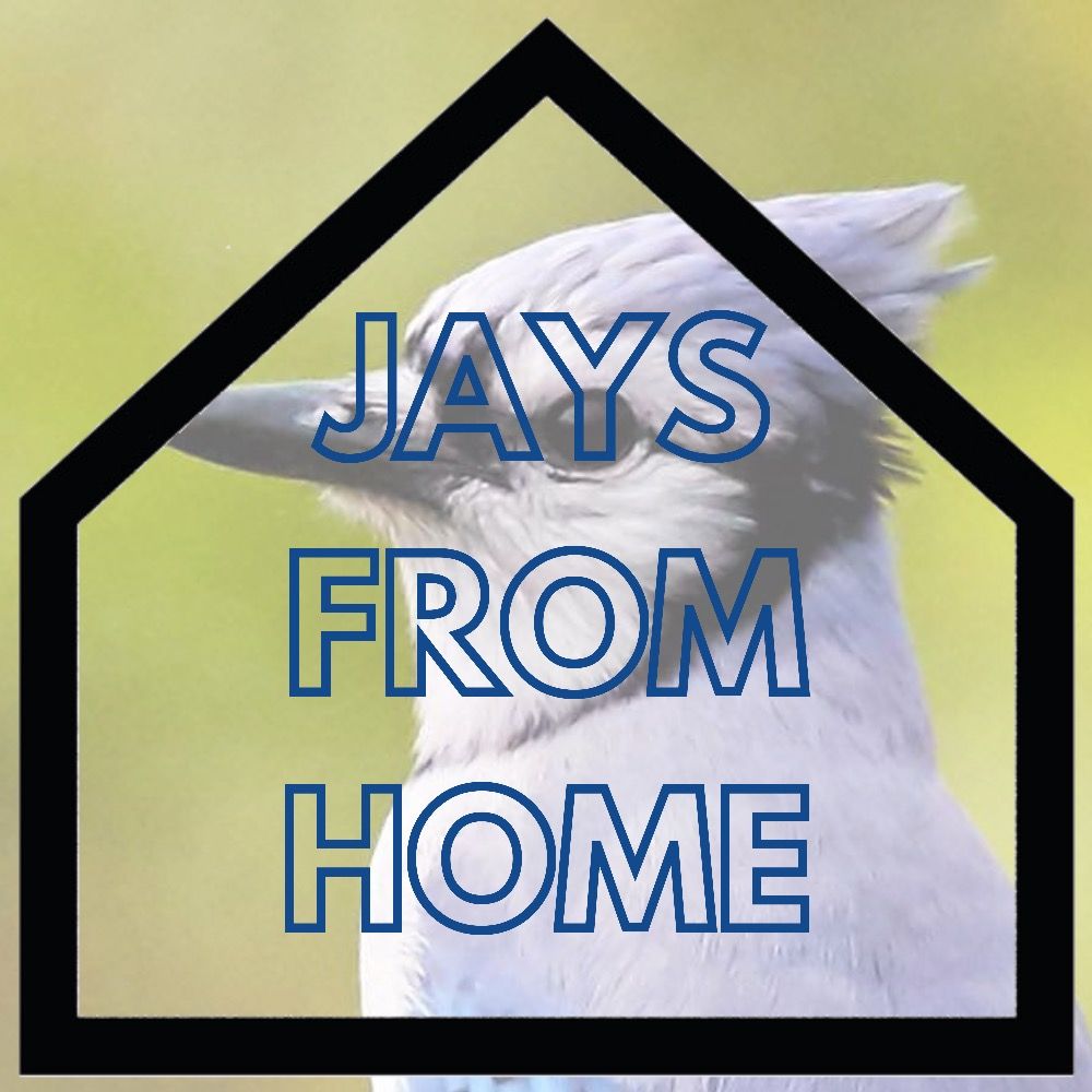Jays From Home's avatar