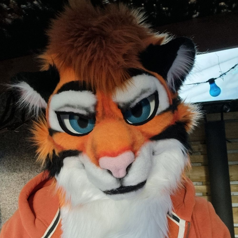 TD the Tiger
