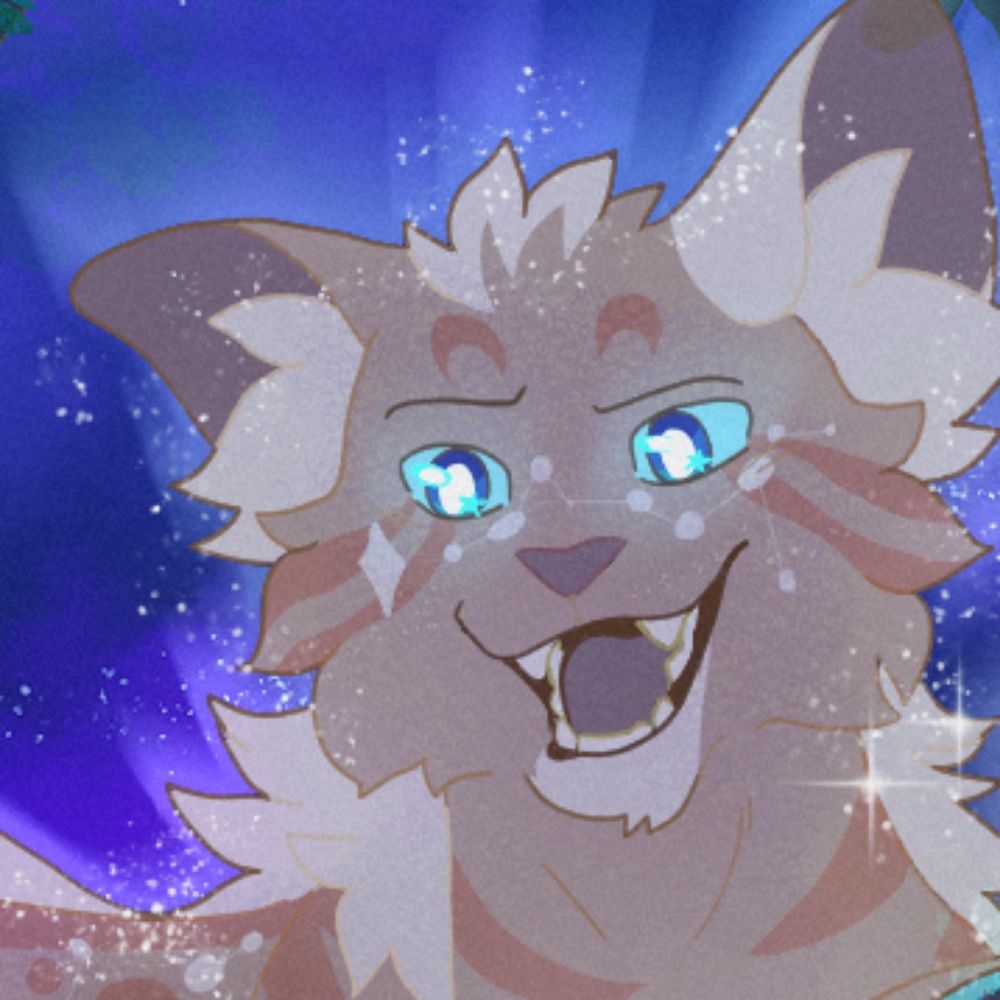 ✨countmeowt✨🐱