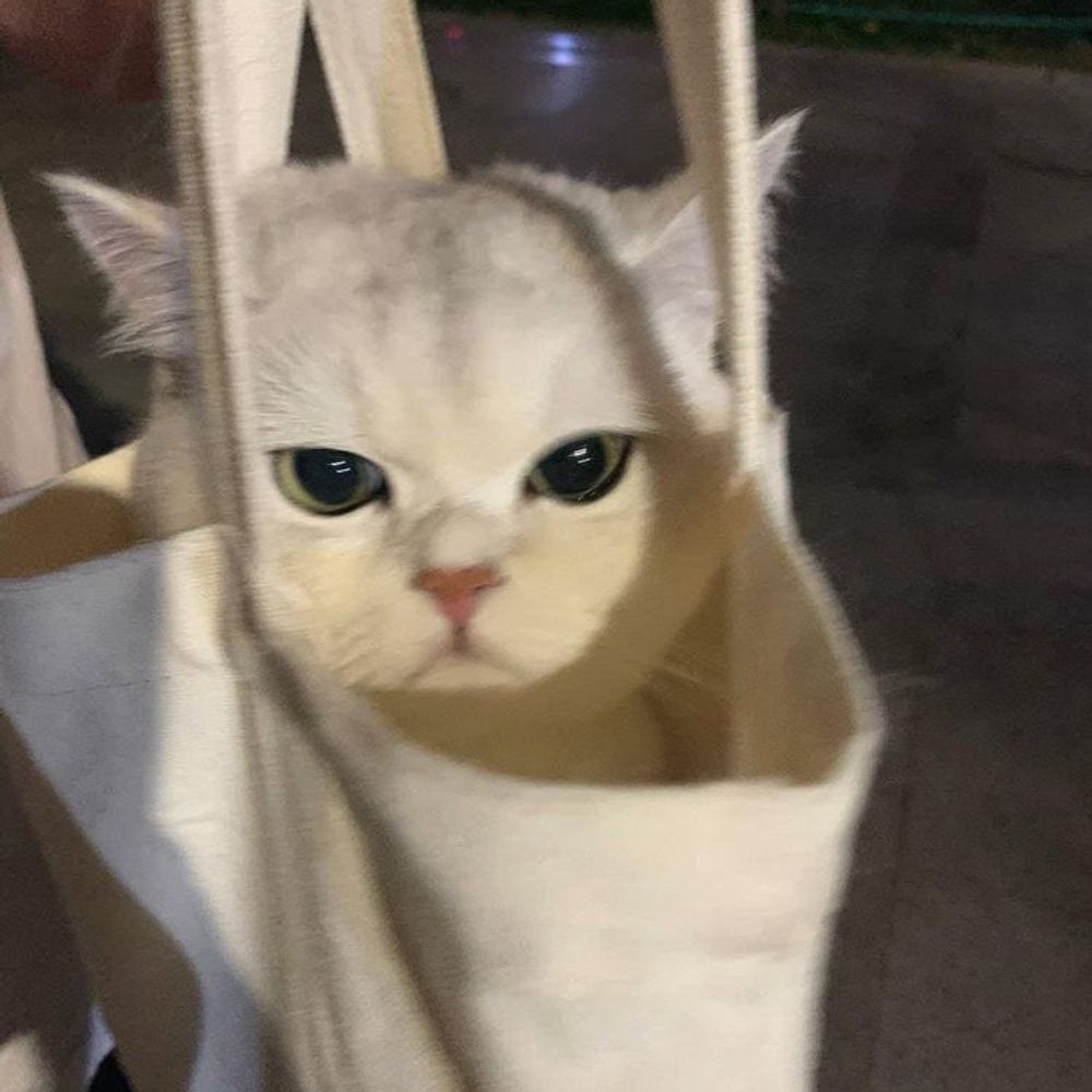 강민