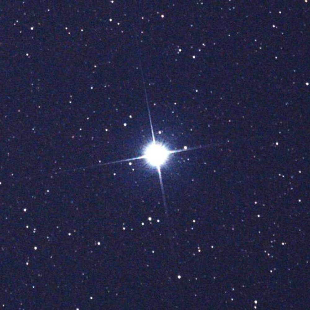 彦星