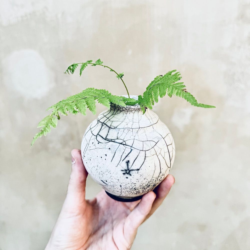 Intobotanics
