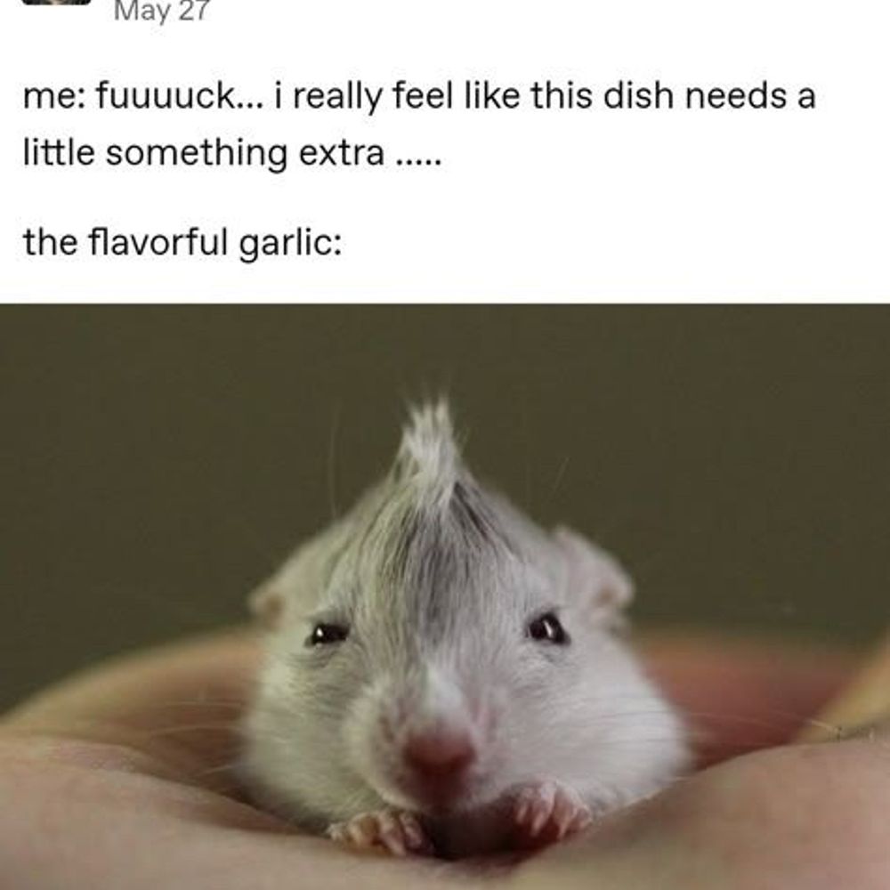 Ratfaggot
