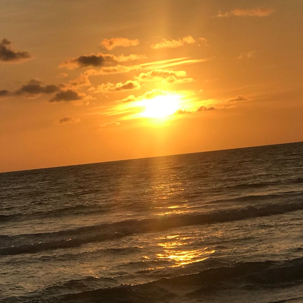 St Pete Daddy