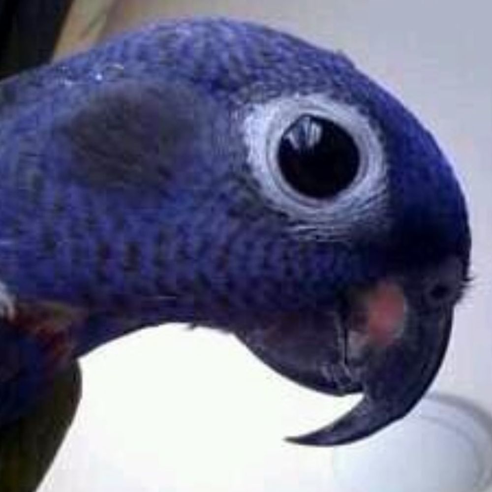 ふにふに。