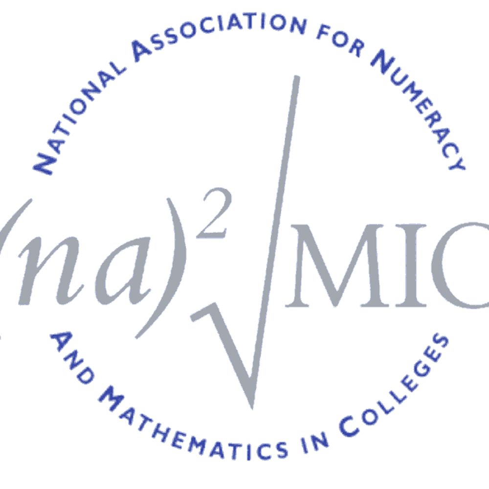 National Association for Numeracy and Mathematics in Colleges
