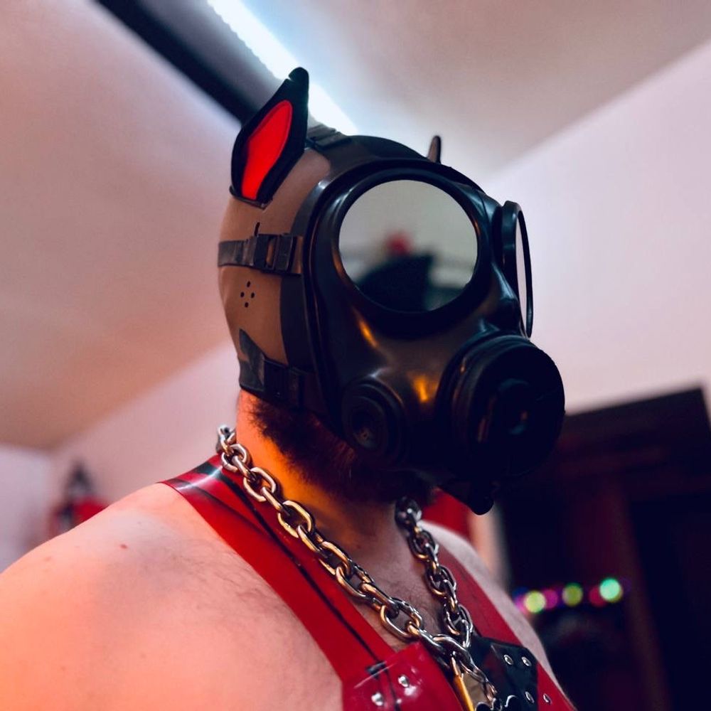 Seal Doge @ Portland Eagle Mr.Leather