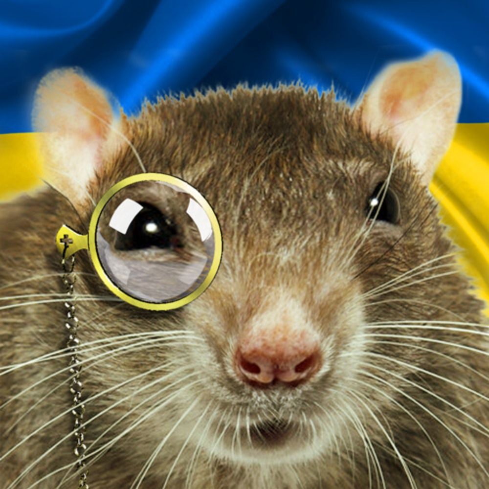 Lord Rat Squirt's avatar