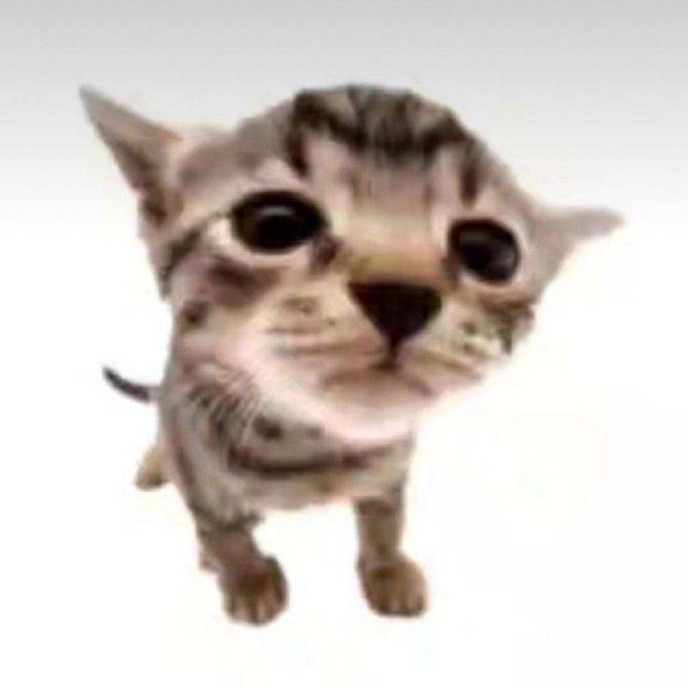 공백