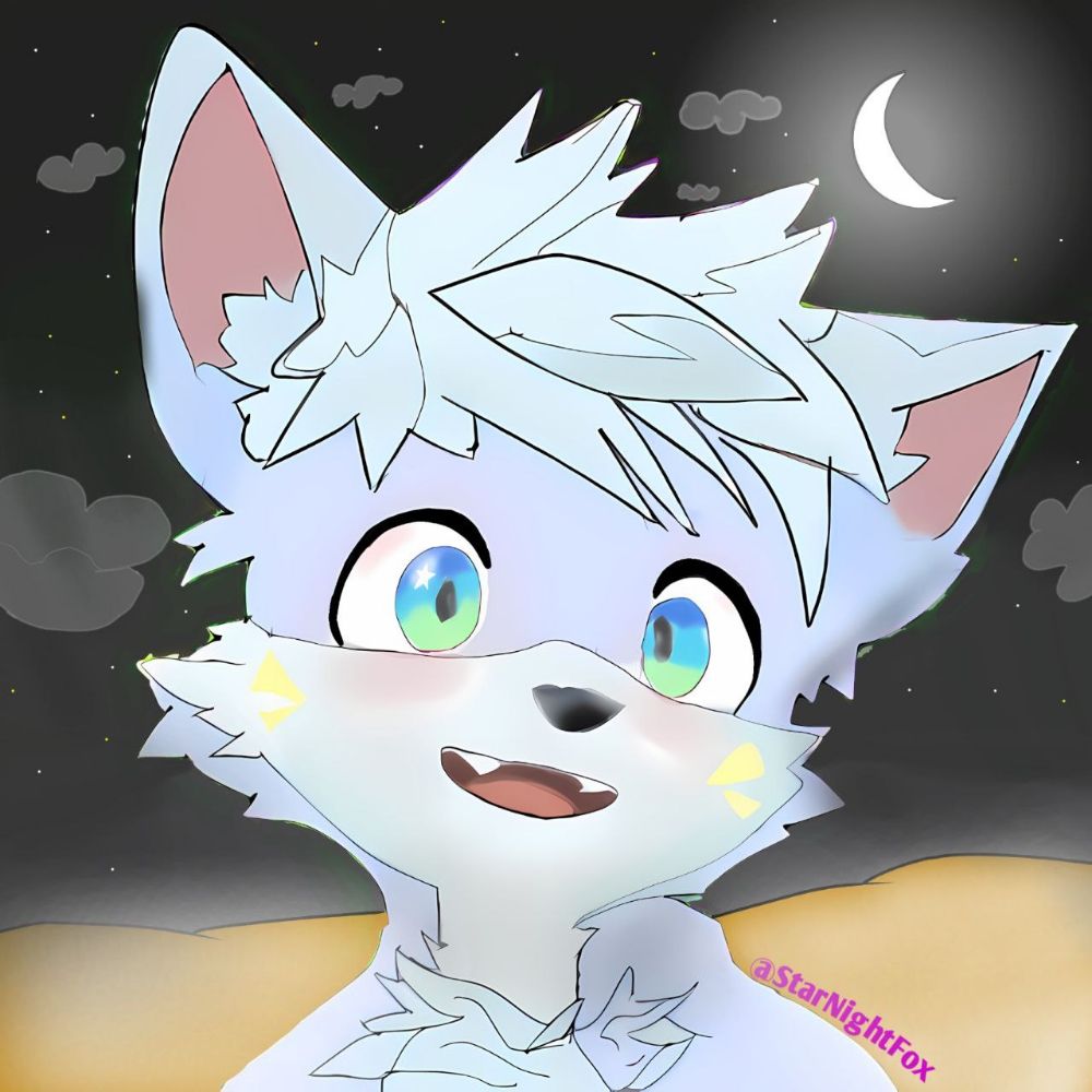 StarNightFox✨
