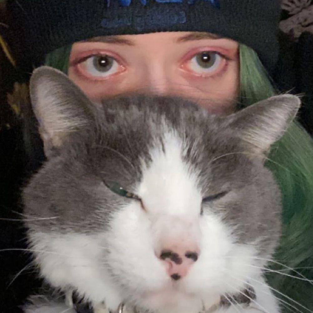 ‪ ₊⊹ dezyᯓᡣ𐭩