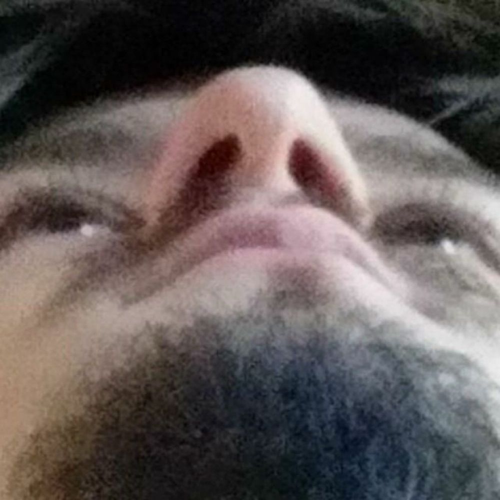 paul