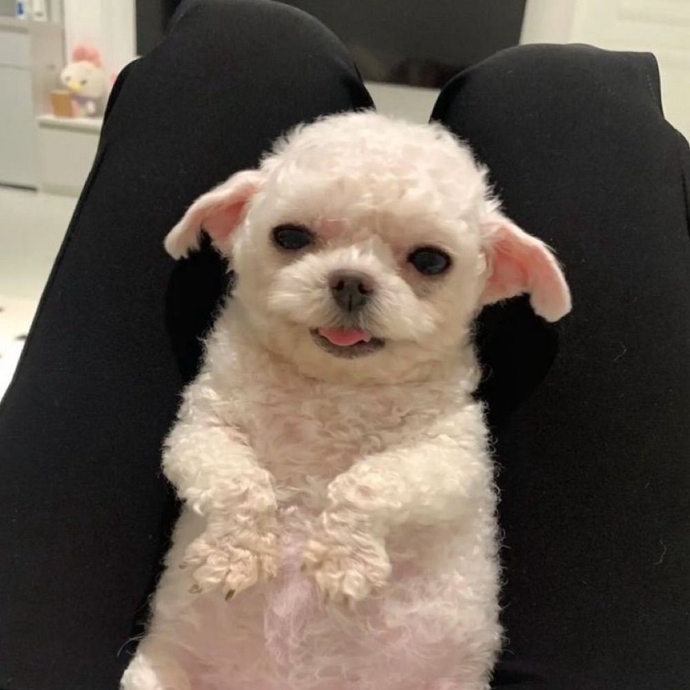 김으아
