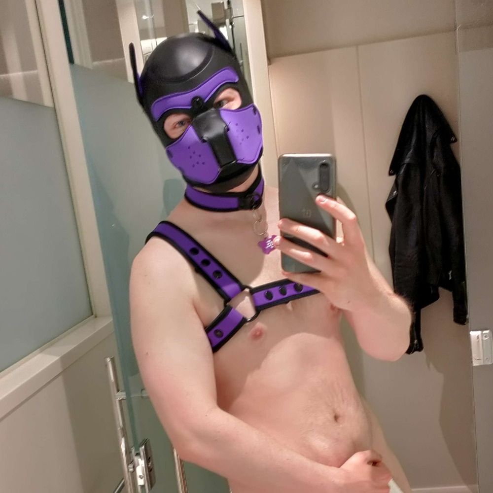 Pup Alex