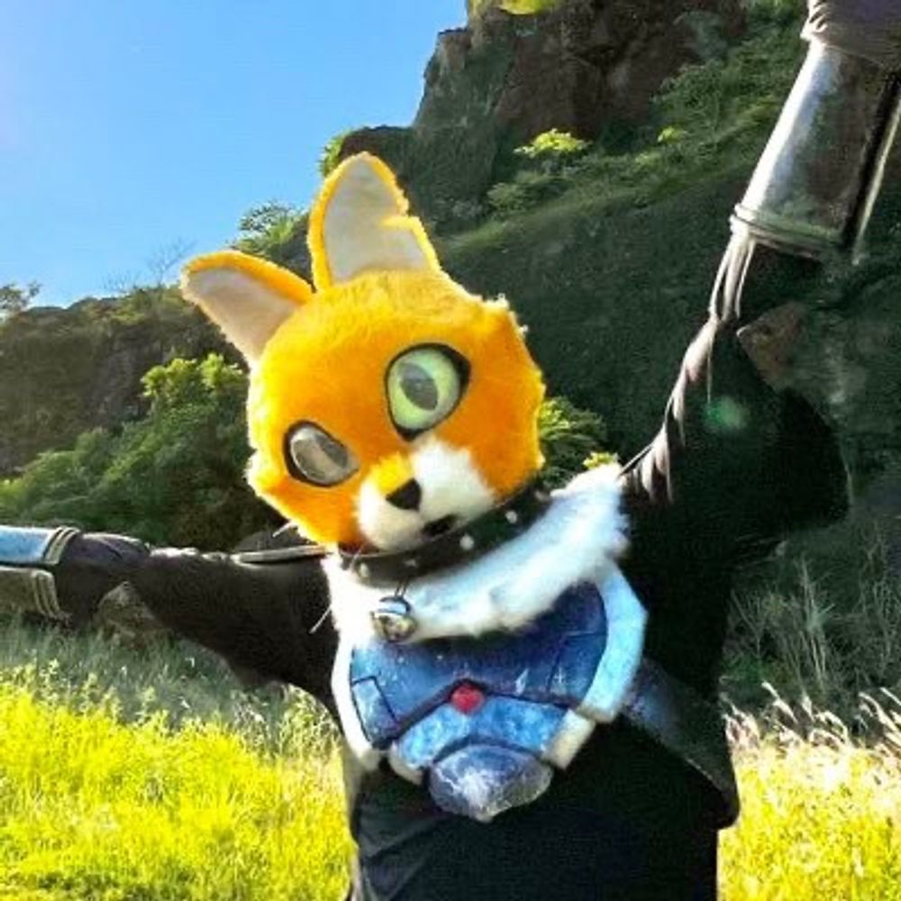 キャットC