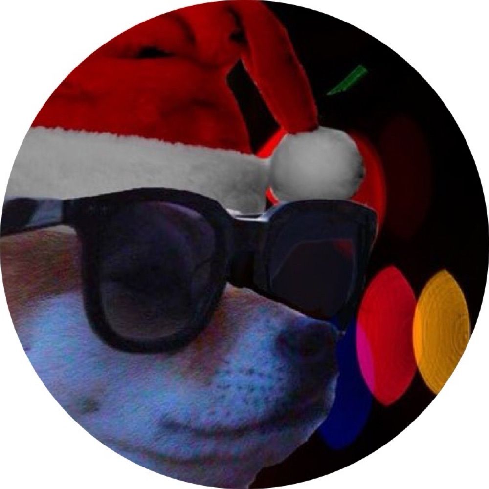 actual christmas dog