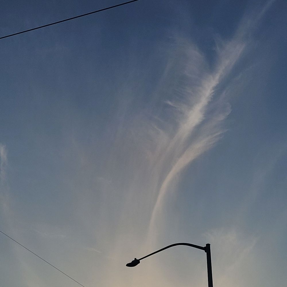 .dust.