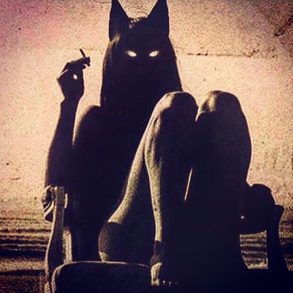 badkittee.bsky.social profile picture