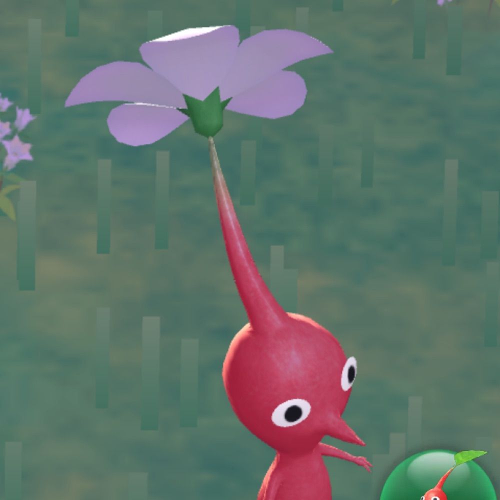 칸