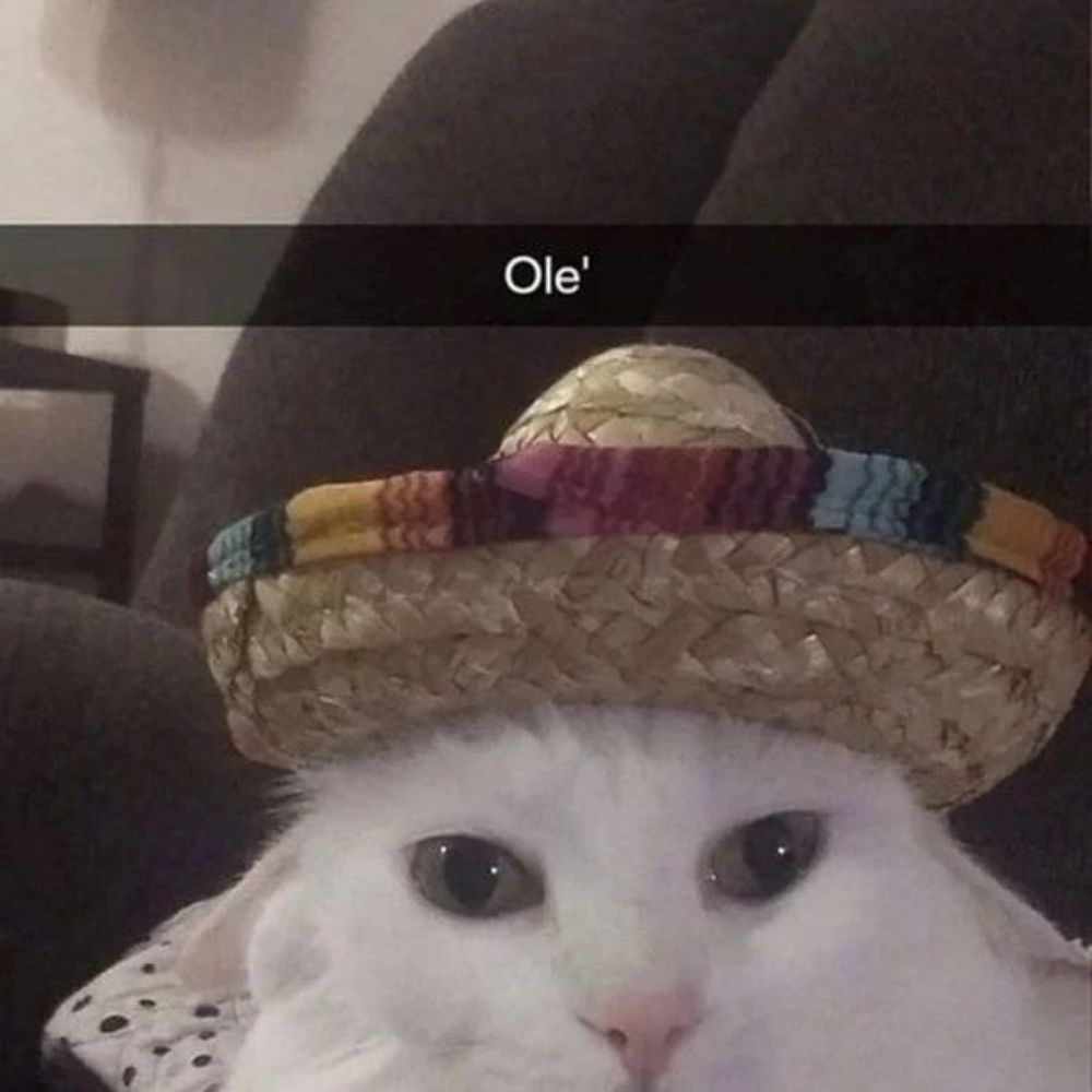 It's El
