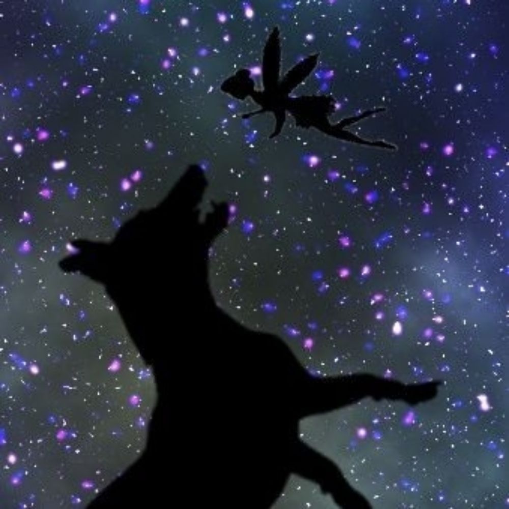 ぱう🌠