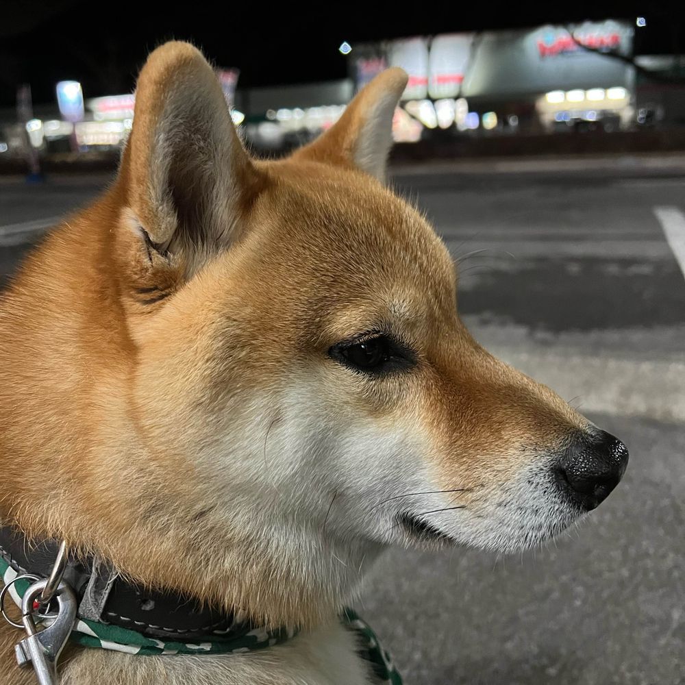 ひこ