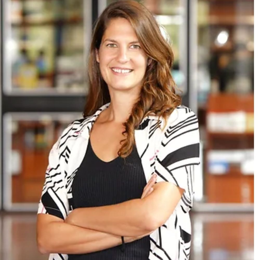 Sofia Breitenstein 