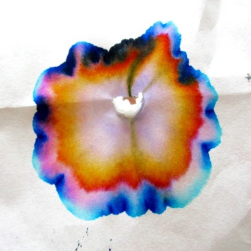 A.Luna