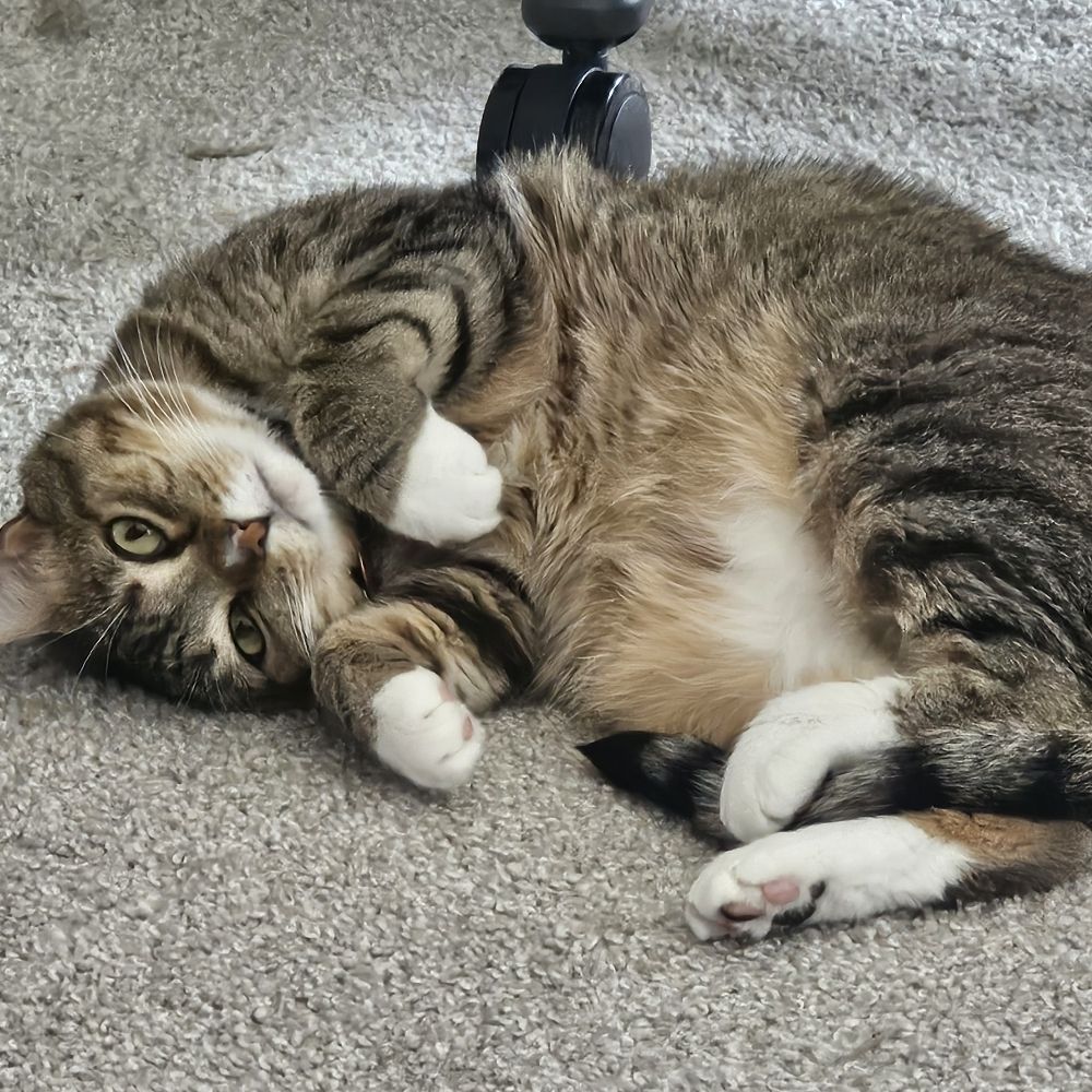 Keera