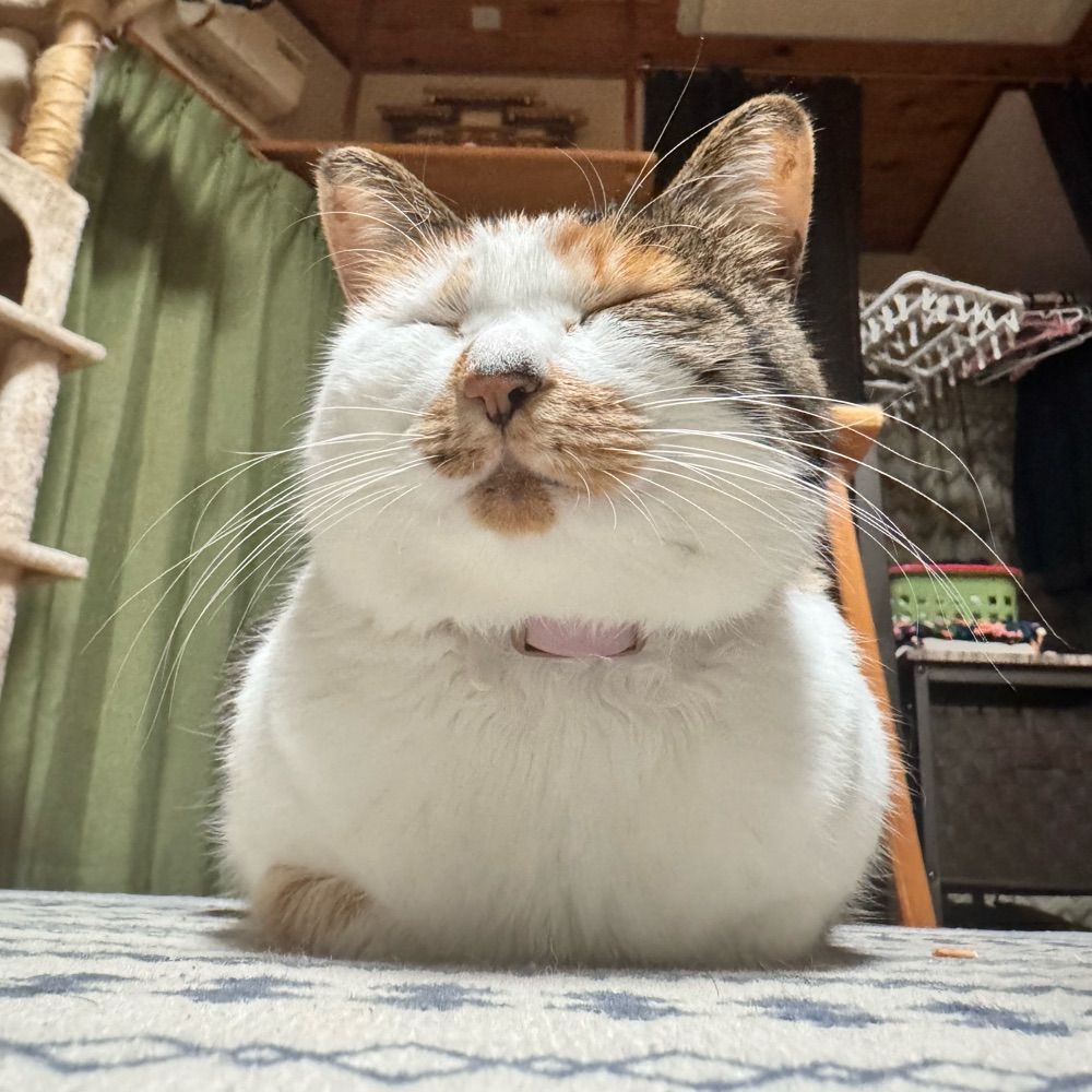 ぐぴ酒肴(ダイエット