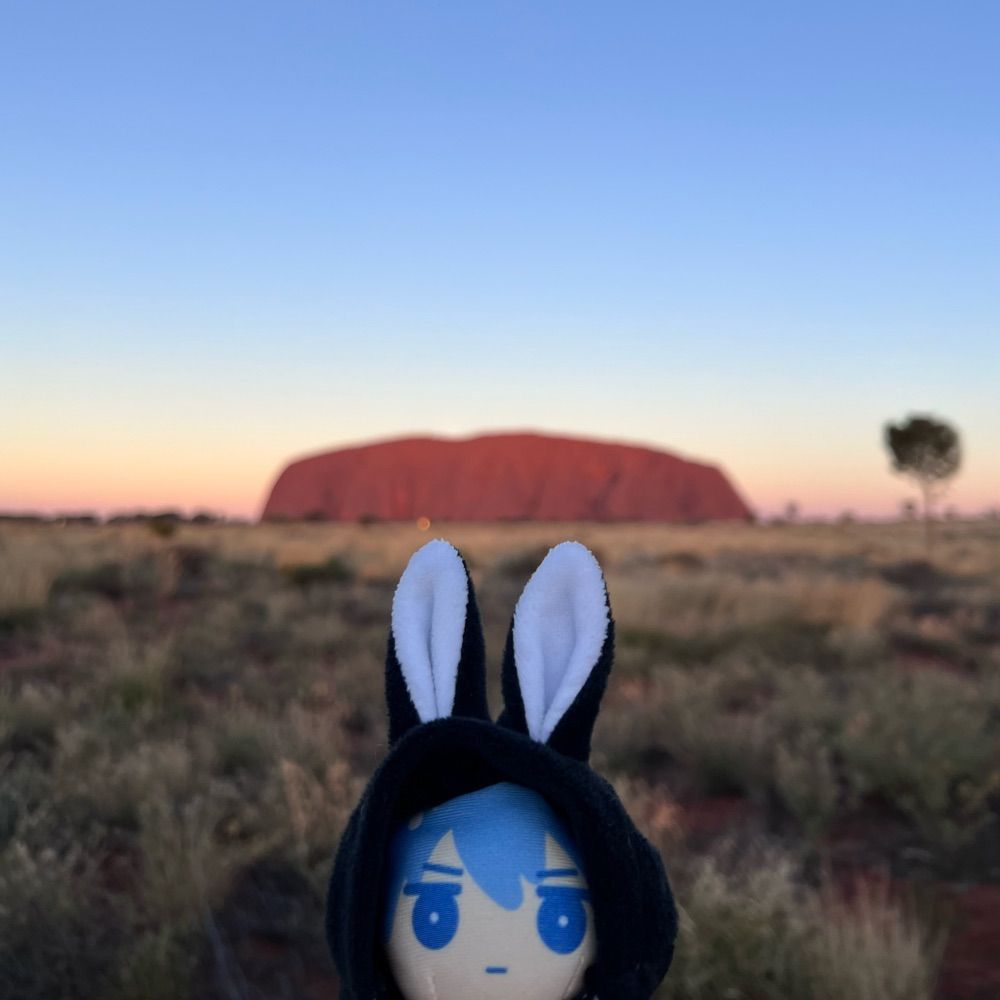 ここあ