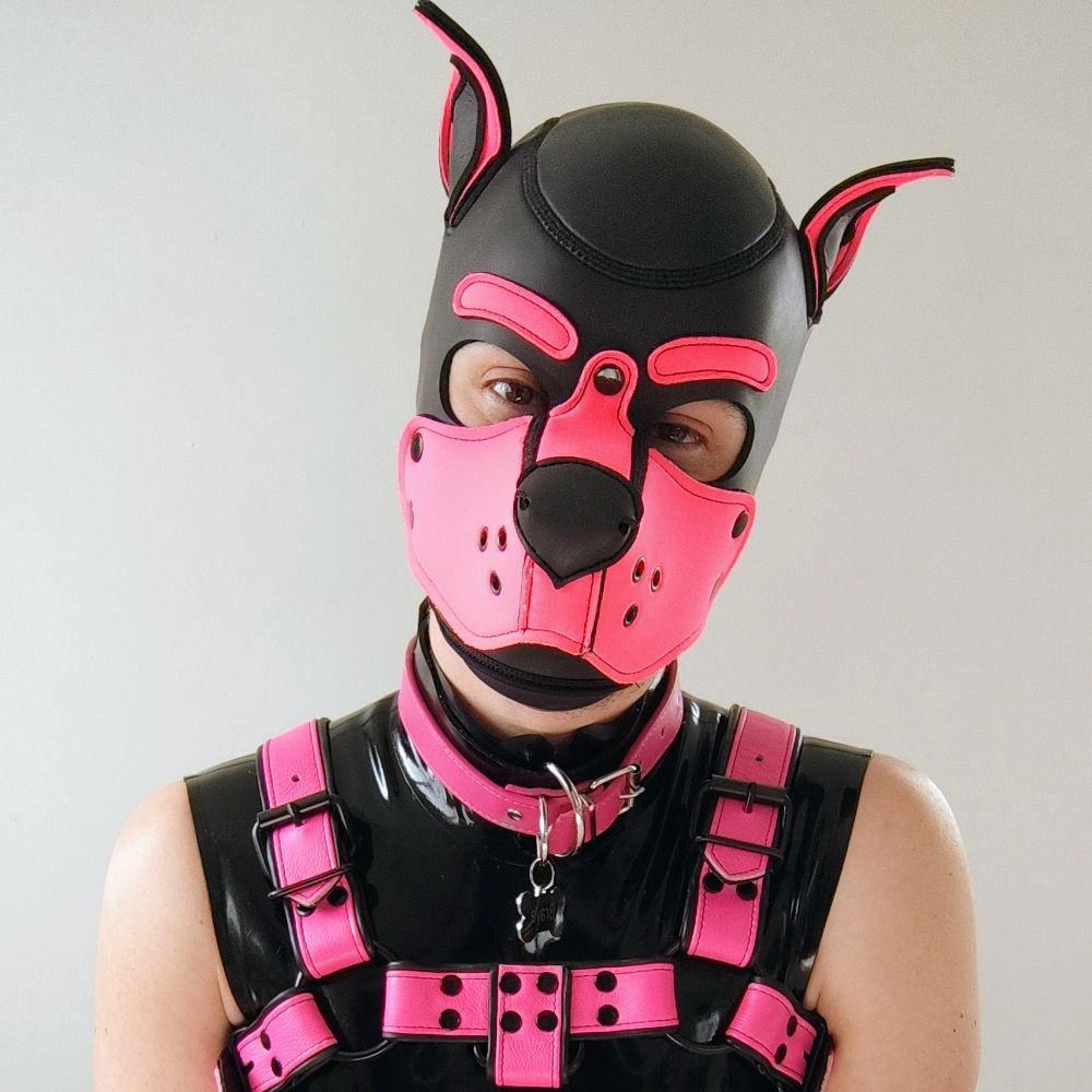Brave 🐾🩷 🔜 Folsom Berlin + Doggyweekend