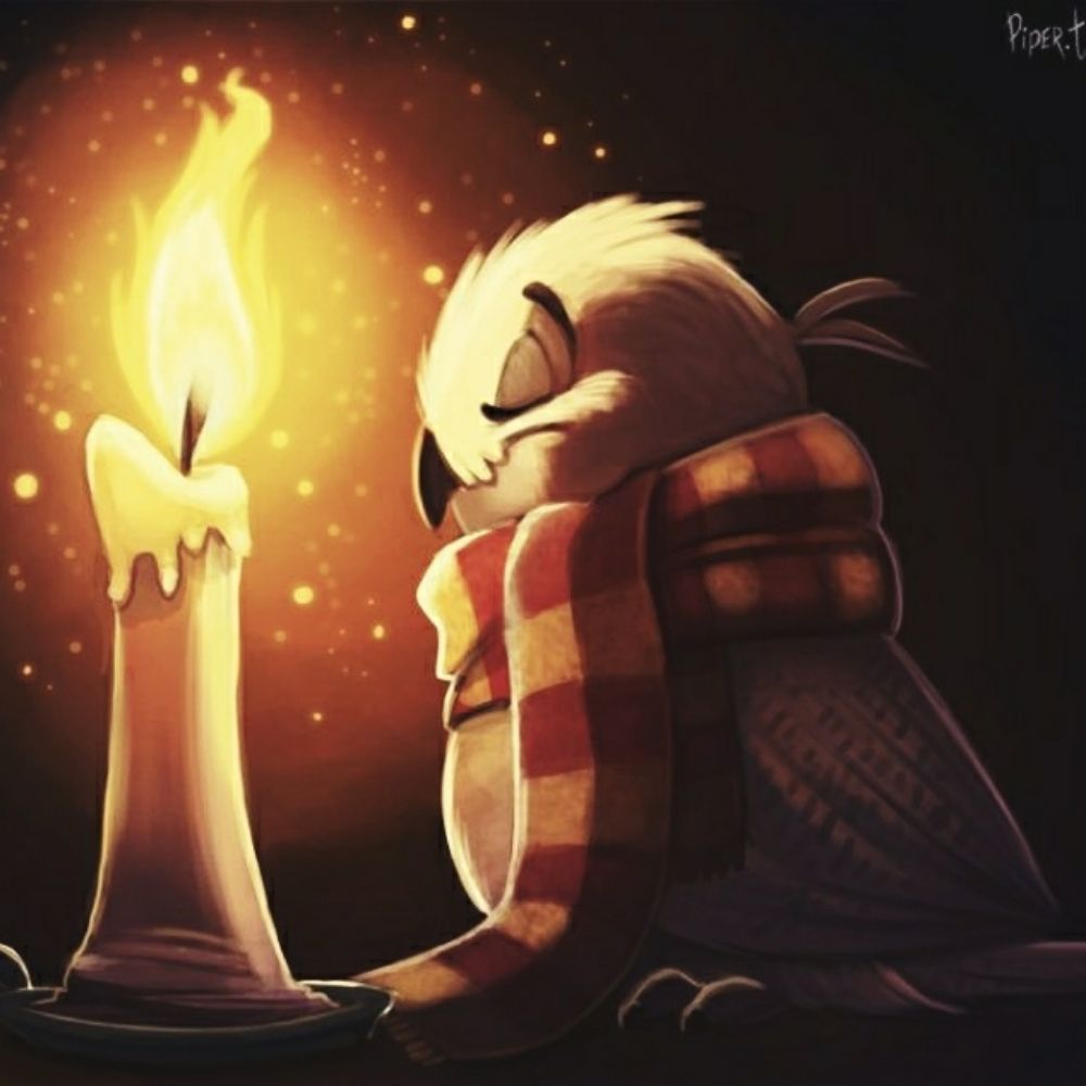 Hedwig