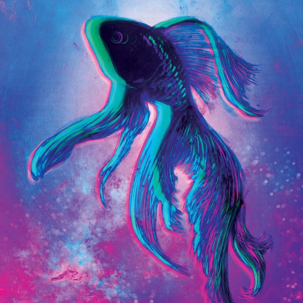 JBlake Design