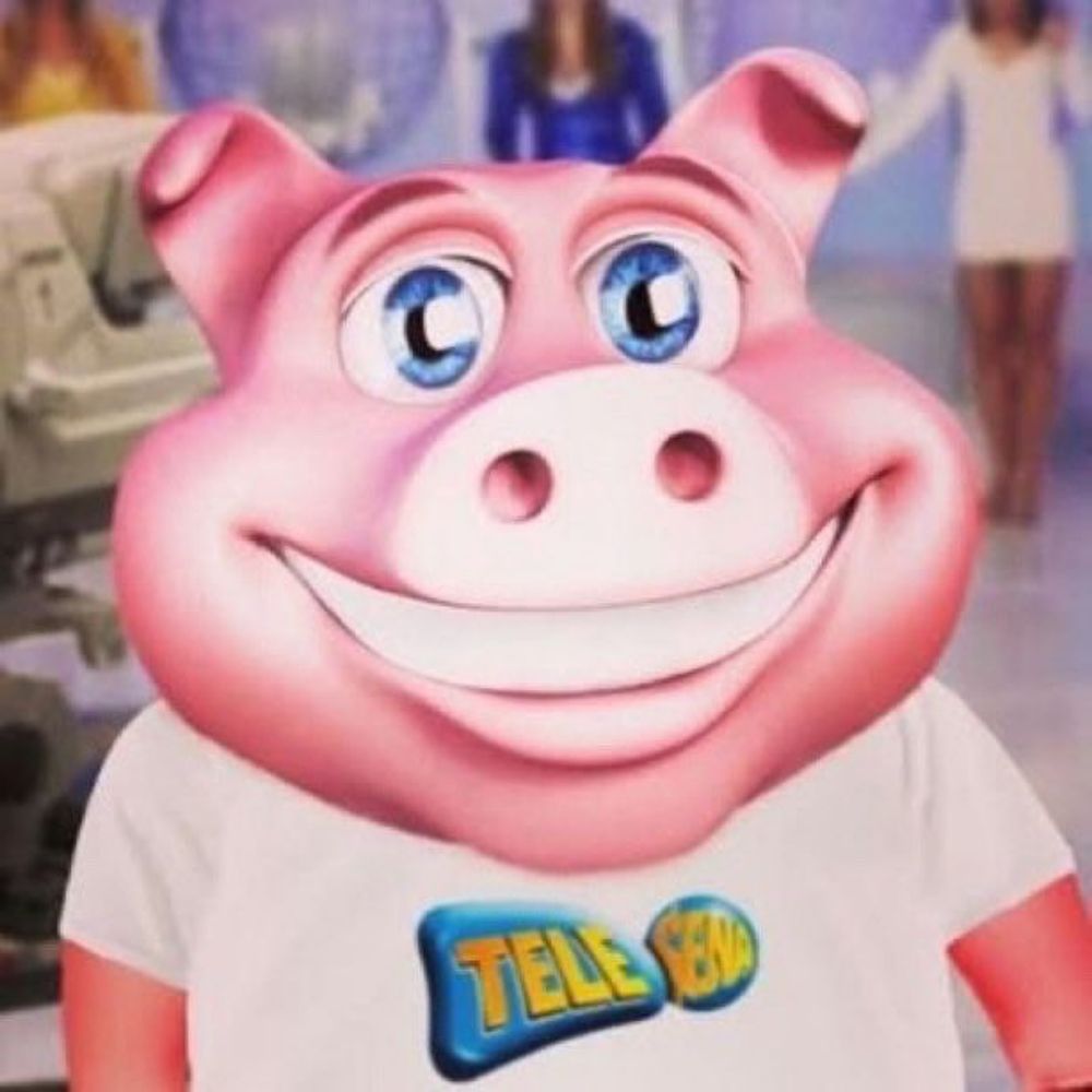 porco da telesena 