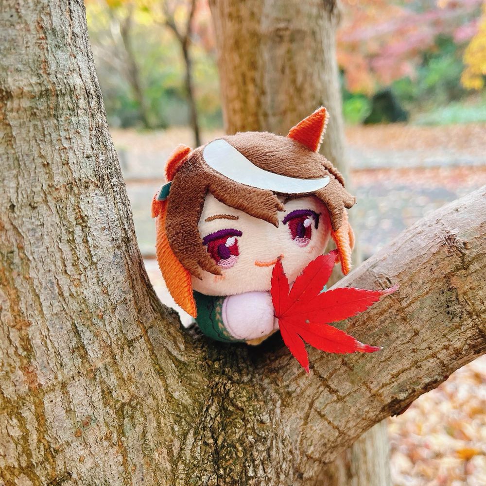 小鞠