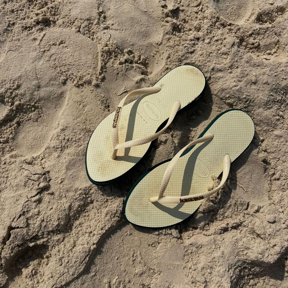 Margarida🌈🌞🧭✈️⛱️🪬🎶