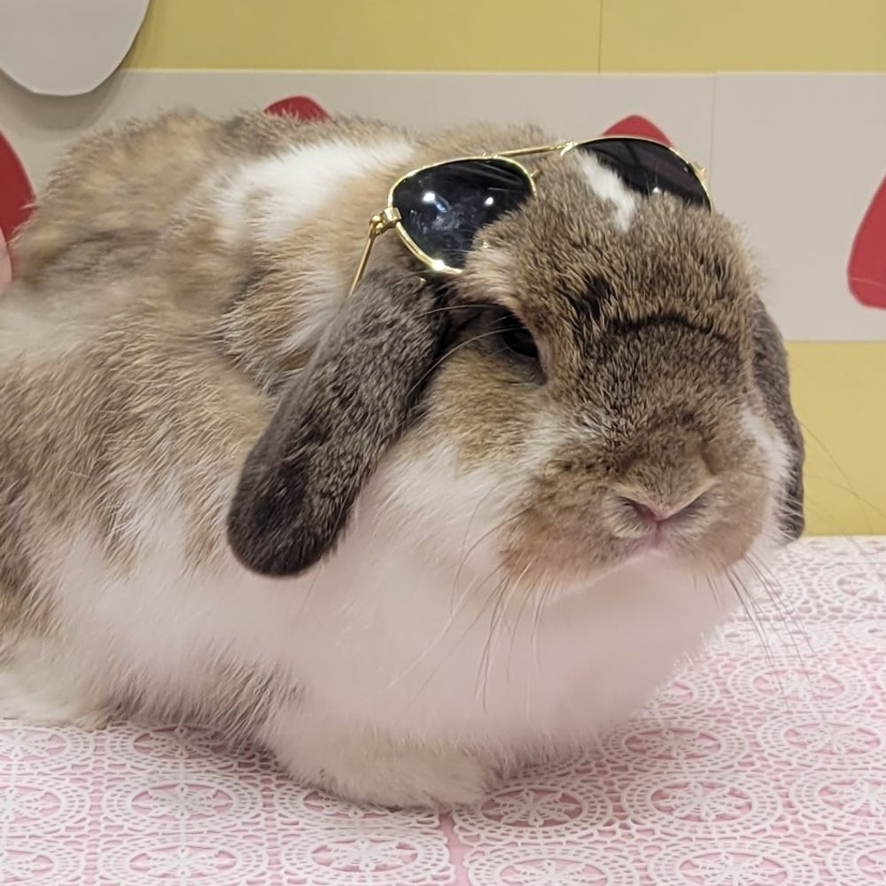 ユキナト